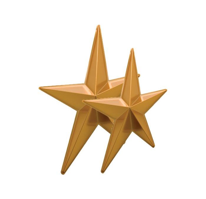 2 étoiles qui brillent(et pas qu’au foot)